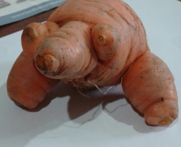As far as carrots go, this one is a little ``wuff'', but as far as carrots that look like dogs go...