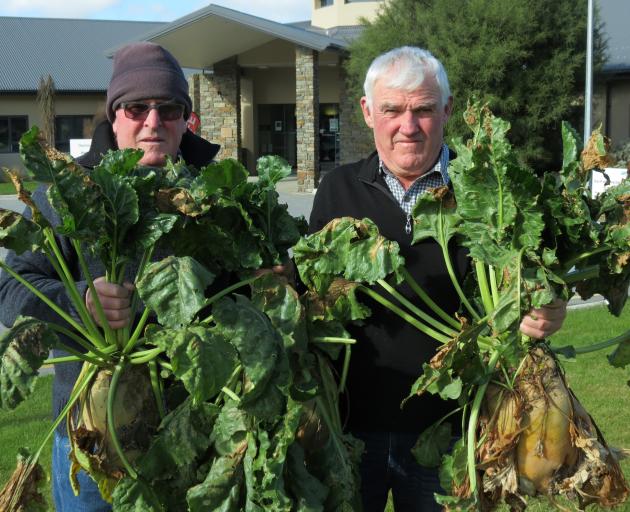 Rabobank Central Otago Winter Feed Competition organisers Barry Murphy (left) and Paul McCarthy,...