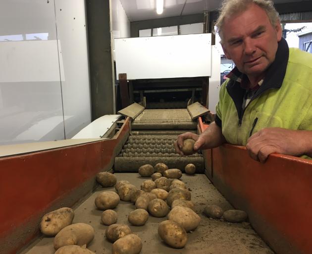 Jeff Bruce, of Caithness Farm, near Waimate, has given 80 10kg bags of Nadine potatoes to the fundraising cause. Photo: Alexia Johnston