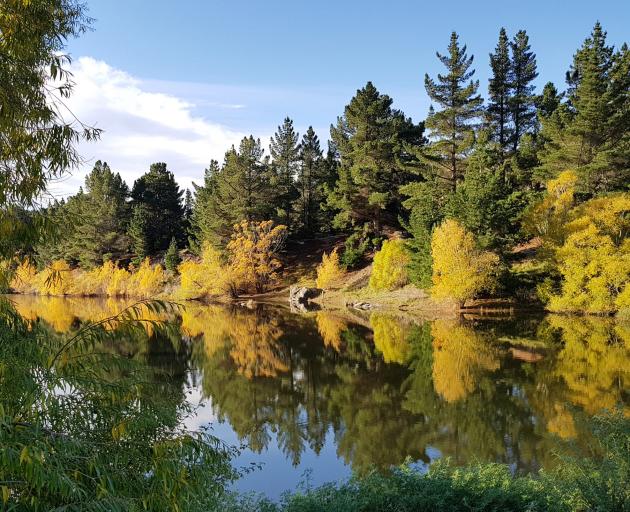 Which way up does this go? Pinders Pond, just south of Roxburgh, this week. PHOTO: DAVID LESLIE