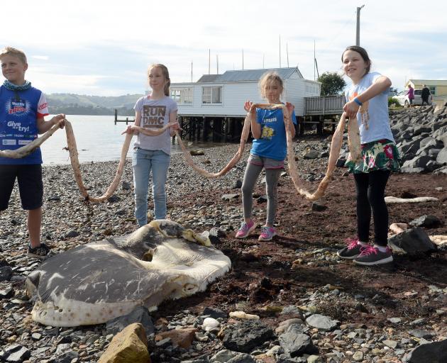 Broad Bay children (from left) Tristan Graham (11), Xanthe Dougherty (10), Anika Biggin (8) and...