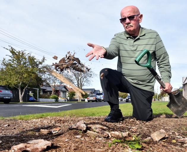 St Clair man Trevor Mattingly is unhappy the Dunedin City Council has failed to replace a tree...