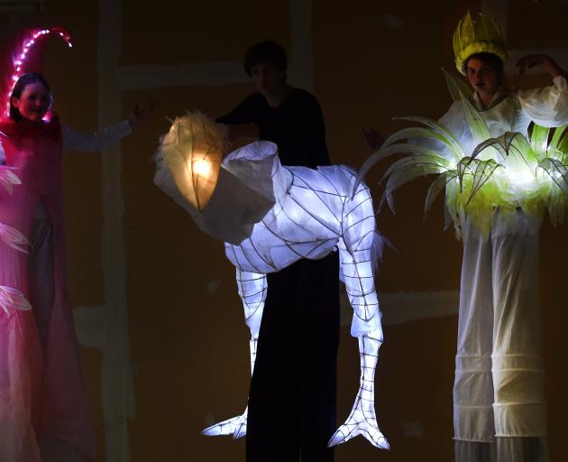 Stiltwalkers perform during the Dunedin Midwinter Carnival. Photo: Peter McIntosh