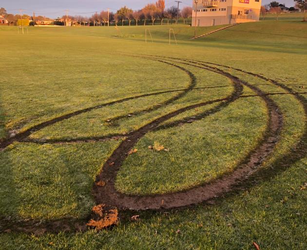 Damage to Awamoa Park caused by vandals on Friday night. Photo: Andy Lane