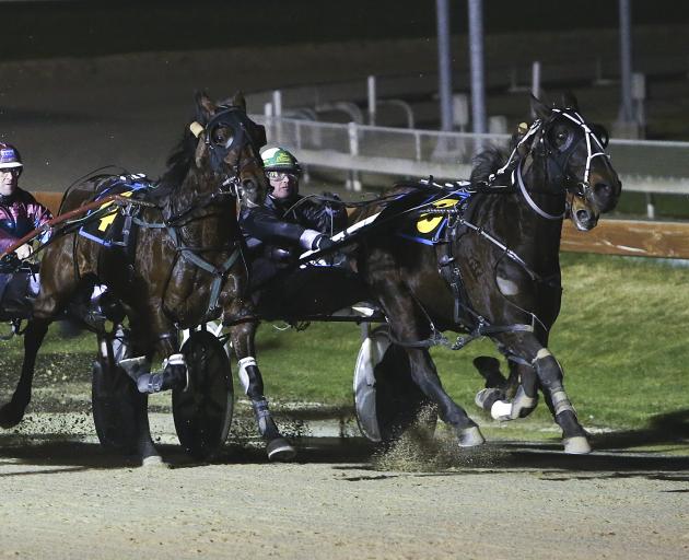 All Nuts N Bolts helps driver Blair Orange set a new New Zealand record for driving wins in...