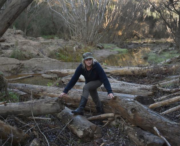 Jeannine Falloon clambers over forestry slash which has blocked vehicle access to her property at...