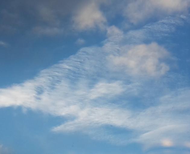 Some snappy photography caught this shark cloud, floating high above Macandrew Bay last week....