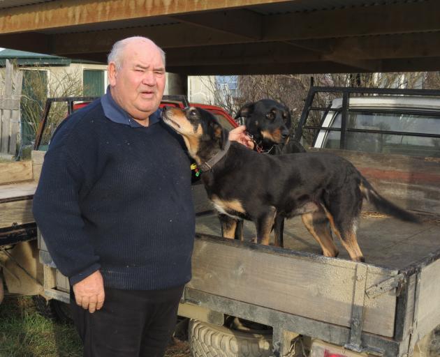 Retired farmer and wool classer Alastair Eckhoff, of Moa Creek, (pictured with Rosie and Chloe), believes loyalty is an important quality for anyone to have. Photo: Yvonne O'Hara