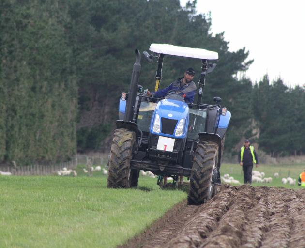 Last year's Young Farmer of the Year Nigel Woodhead, of Milton, competes in the Silver Plough class at the New Zealand Ploughing Championships earlier this year as a special guest competitor. Photo: SRL files