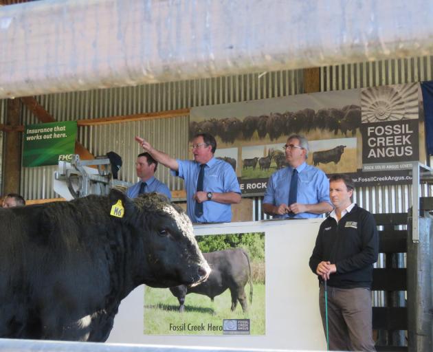 PGG Wrightson livestock genetics rep Callum McDonald (left), auctioneer John McKone (centre) and Otago area livestock manager Mark Yeates auction one of the Fossil Creek Angus bulls as owner Blair Smith watches. Photo: File
