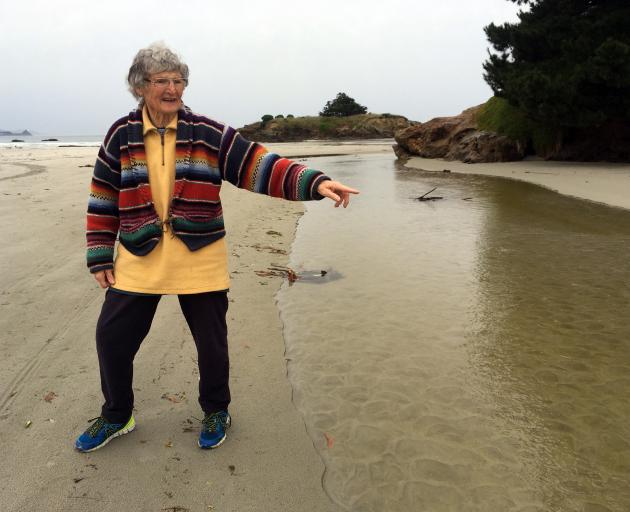 Dr Glenys Blackburn, of Brighton, has spoken to the Dunedin City Council about the potential impact of a proposed landfill at Smooth Hill on Otakia Creek, which runs through her seaside suburb. Photo: Shawn McAvinue