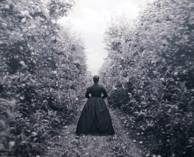 Apple Orchard, Heretaunga, by Yuki Kihara