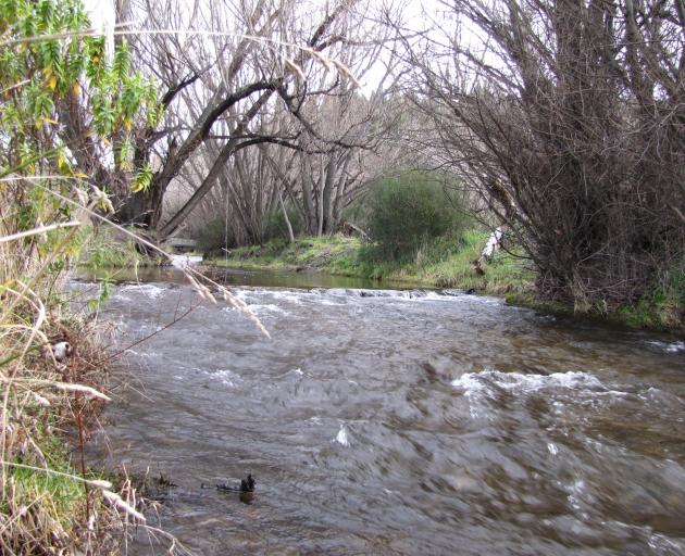 Luggate Creek, leading to the Alice Burn scenic reserve. Photo: Mark Price