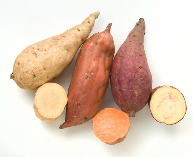 Gardener Grows Kumara In Dunedin Otago Daily Times Online News