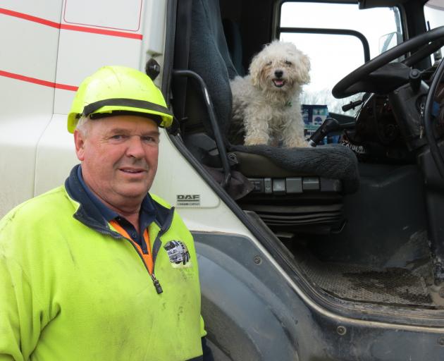 Logging truck driver Barry Scott, partner of Pam Bennett, says their 12-year-old Shih Tzu-Maltese cross dog Bailey has been trucking all his life. Mr Scott said Bailey rode with him all the time and was pretty relaxed about being on the road. He had a bed