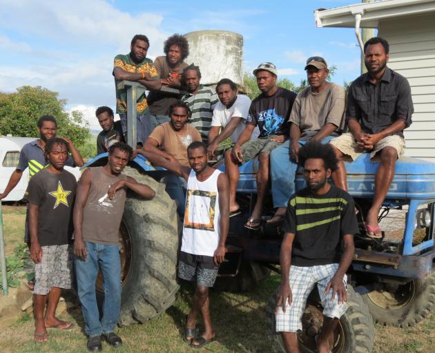 Vanuatuans and other Pacific Islanders who come to work in orchards and vineyards through the Recognised Seasonal Employer scheme, have contributed significantly to the growth of the horticultural industry throughout the country. Photo: SRL Archives