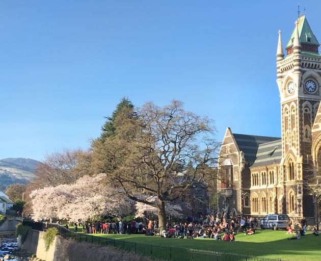Even walking through the University of Otago campus leaves me feeling a bit more intelligent. Photo: Paul Gorman