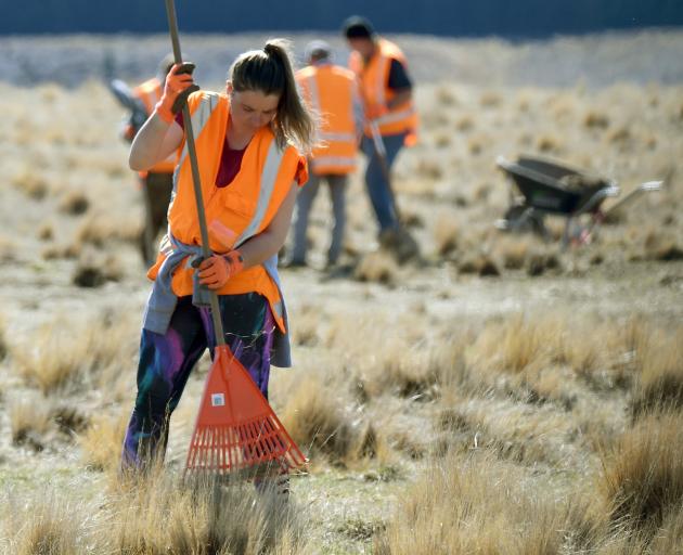 Tussocks are groomed and holes filled on location. Photo: Stephen Jaquiery