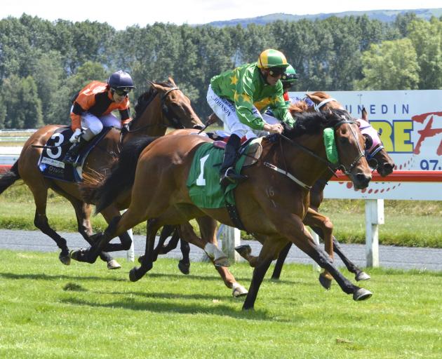 Patrick Erin, seen here getting the better of stablemate Flag The Groom at Wingatui on Boxing Day...