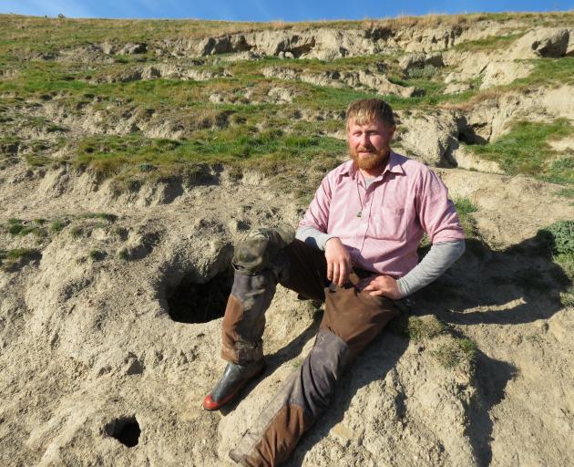 Gem Lake station shepherd Isaac Allan said about 40 or 50 rabbits were living in burrows on this landslip site and they were causing a lot of damage to the property. Photo: Yvonne O'Hara