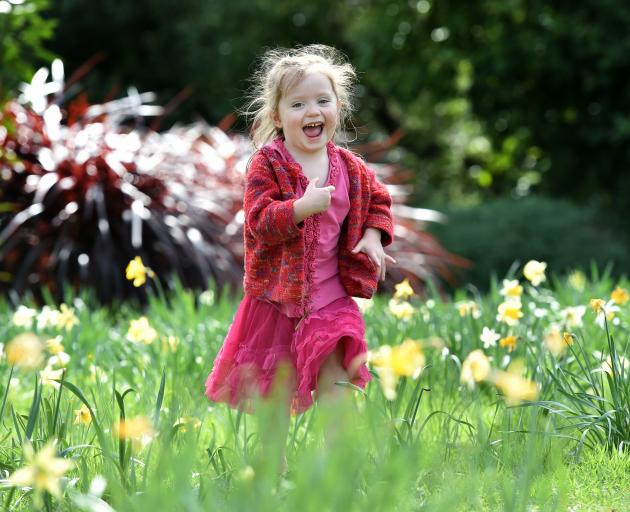 Making the most of the warm sunny weather at the Dunedin Botanic Garden yesterday  is Amelia...
