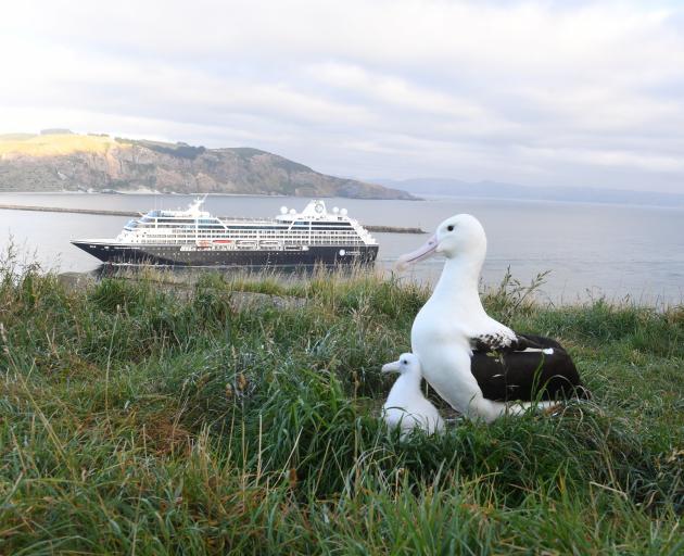 The city’s focus on eco-tourism on the Otago Peninsula.