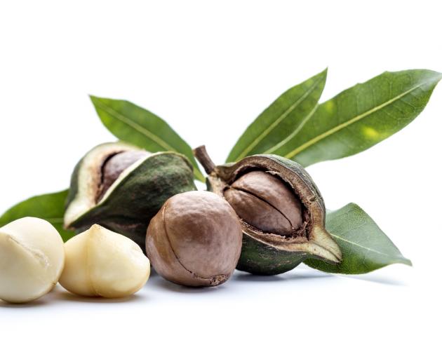 Macadamia nuts. Photo: Getty Images