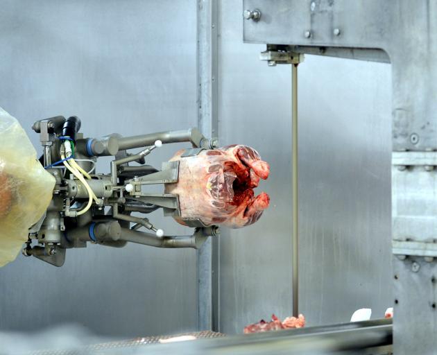 Robotic technology at work in the meatworks, developed in conjunction with Scott Technology and...