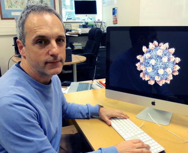 Dr Mihnea Bostina looks at a Seneca Valley Virus attached to its cancer cell specific receptor. Photo: Supplied Dr Mihnea Bostina looks at a Seneca Valley Virus attached to its cancer cell specific receptor. Photo: Supplied