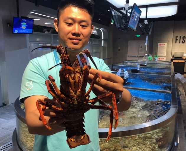 Fresh New Zealand crayfish on the menu at Alibaba’s new Hema smart retail store. 