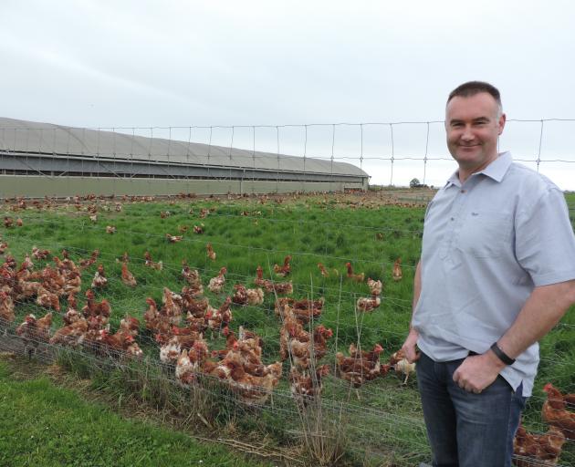 Brent Craig and his free-range hens are fascinated by each other's behaviour. Photos: Sally Brooker