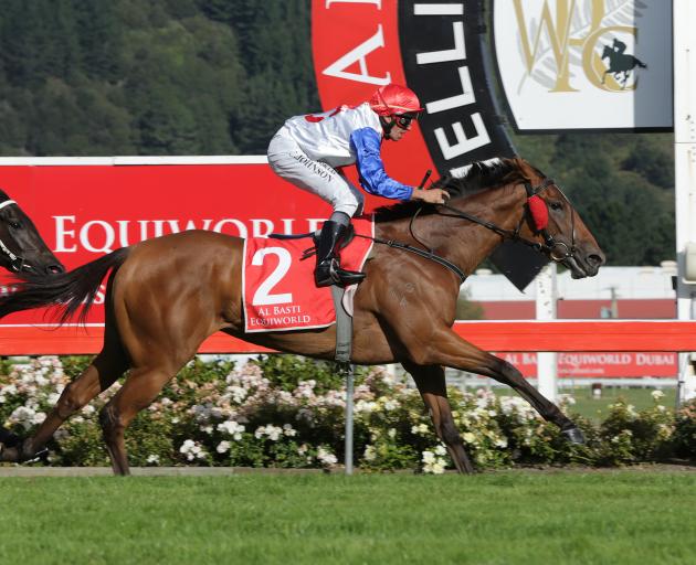 A Melbourne campaign is on the line for Canterbury-trained Savvy Coup who contests the Livamol...