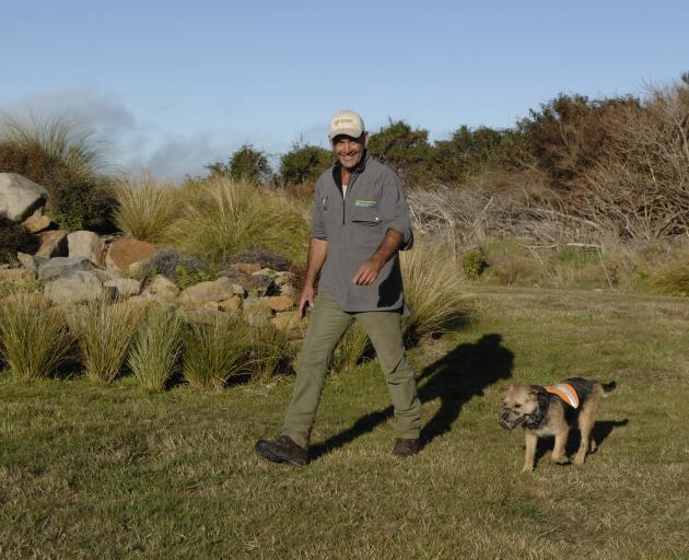 Department of Conservation's Scott Theobald and his terrier Crete check Dunedin's Orokonui Ecosanctuary for stoats in 2012. Photo: ODT