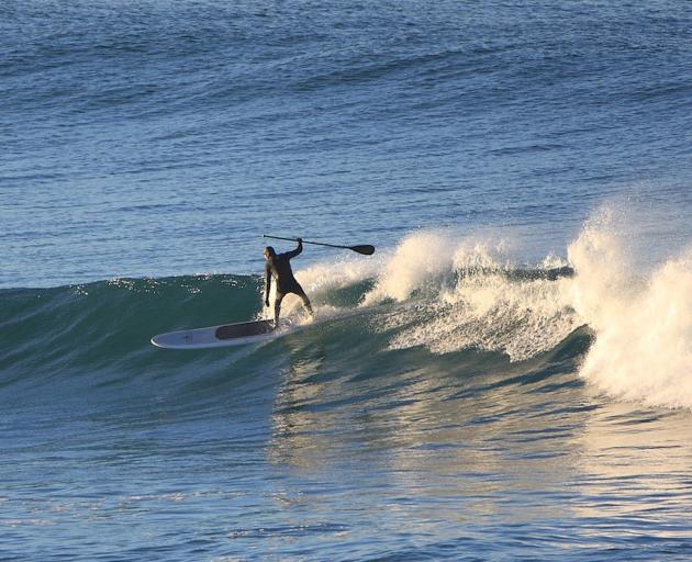 Doug Booth catches a wave while paddleboarding at St Clair beach. Photo: Mark Stevenson 
