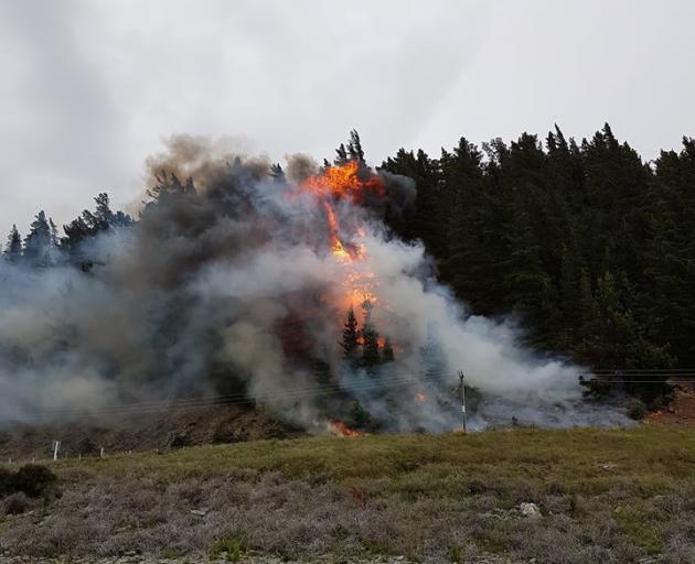 Flames crawl up a tree after a fire broke out in Hawea this evening. Photo: Supplied