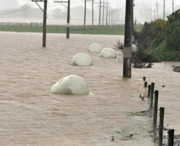 Silage bales float in a paddock on the Taieri during last week’s flooding. Photo: Peter McIntosh