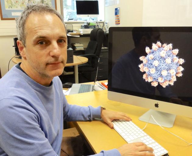 University of Otago researcher Dr Mihnea Bostina looks at a Seneca Valley Virus attached to its...