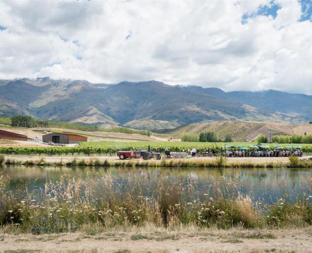 Wine enthusiasts take part in a wine tasting at Amisfield Vineyard, Cromwell, during the 2016 Central Otago Pinot Noir Celebration. Photo: Supplied