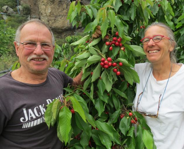 Luke and Shona Denton, of Frogrock Orchard, in the Teviot Valley, were among the first of the valley's orchardists to have cherries for sale at the weekend. Photo: Yvonne O'Hara