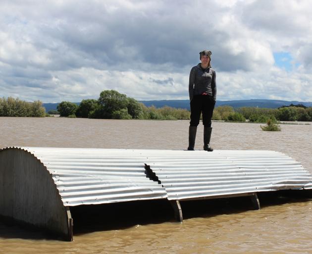 The calf shelter farm worker Kayla Wylie stands on could almost be a submarine. This photo was taken at James Adam's Otokia dairy farm last Thursday after some of the highest rainfall for the month of November recorded in Otago and Southland. Photo: Ella
