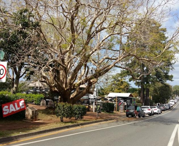 Eagle Heights – Tamborine Mountains