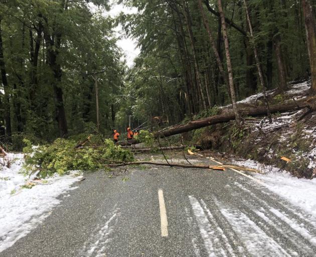 Trees falling on to power lines in bad weather are a frequent cause of power outages in the Wakatipu. Photo: QLDC