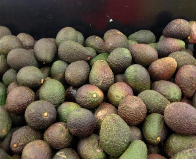 Avocados priced at $7.99 at Centre City New World in Dunedin last week. Photo by Shawn McAvinue.