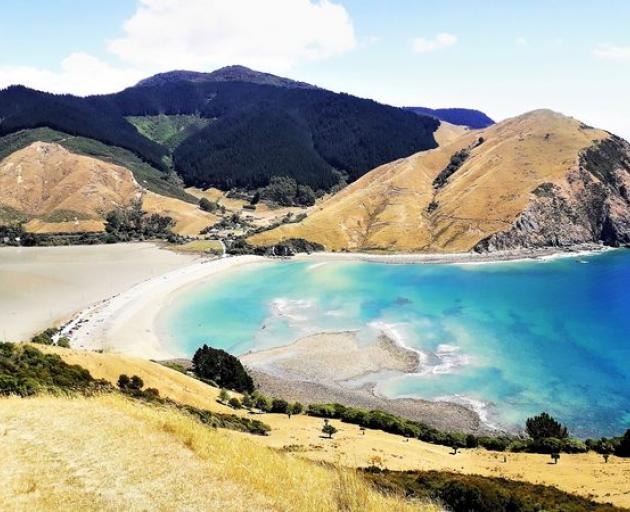 The view of Cable Bay from Pepin Island. Photo: RNZ 