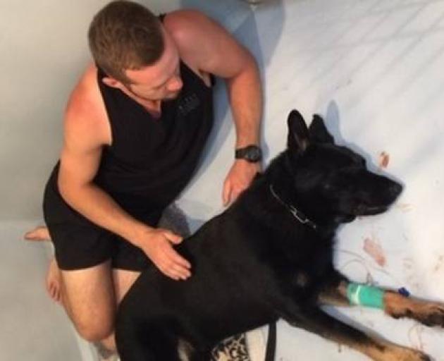 Constable Van Der Kwaak keeps 20-month-old Caesar company as he recovers from being stabbed twice...