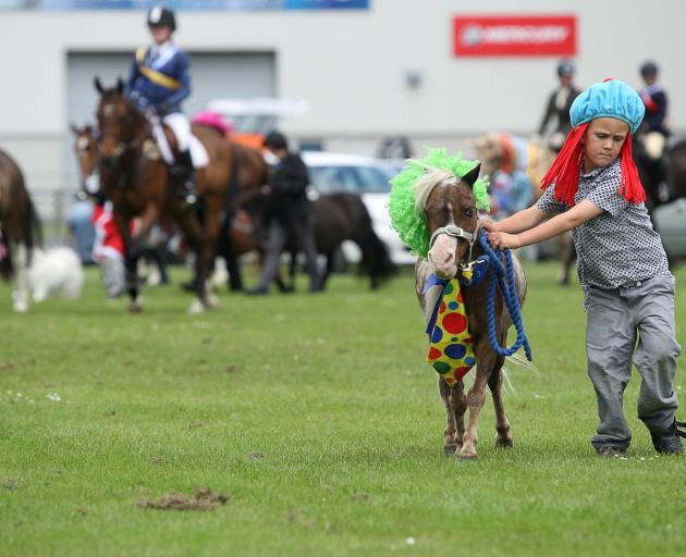 Ryan Davidson tries to keep  miniature pony Zorro in line during the grand parade. 