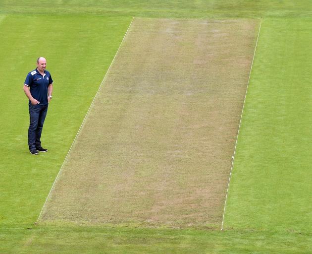 Otago Cricket Association operations manager Tim O'Sullivan inspects the pitch at the University of Otago Oval yesterday. Photo: Peter McIntosh