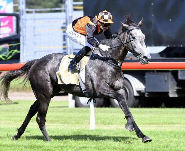 Danzdanzdance clears out to win  the group 1 Captain Cook Stakes at Trentham on Saturday. Photo:...