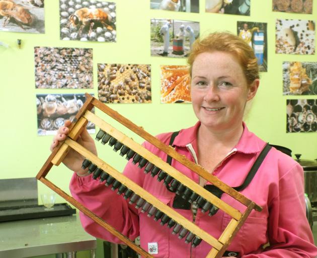 Heidi Rixon with the unit in which she breeds "nice golden brown" queen bees. 