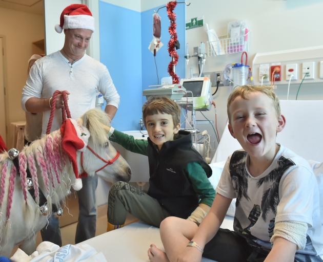 Jack Hewitt-Townsend (right) and Gus Carr meet Tom-Tom the Shetland pony, supervised by owner Dave Buckley, on the children's ward at Dunedin Hospital yesterday. Photo: Gregor Richardson